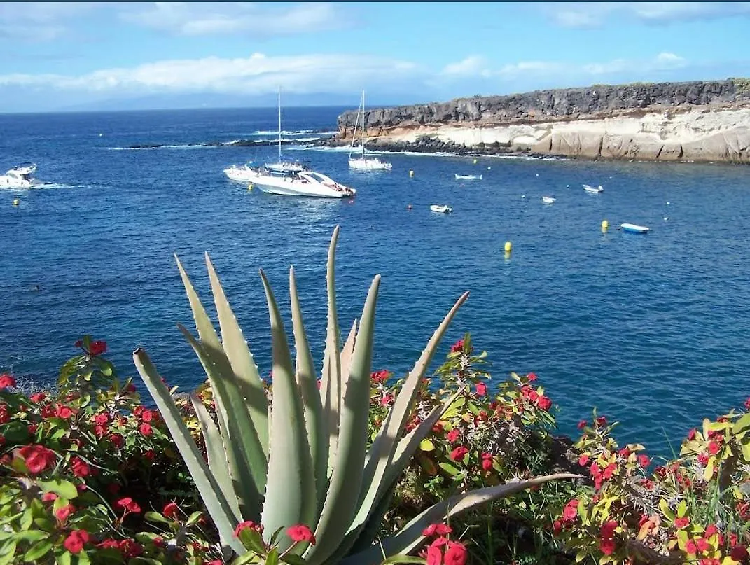 Paraiso Del Sur Apartments Costa Adeje  Spain